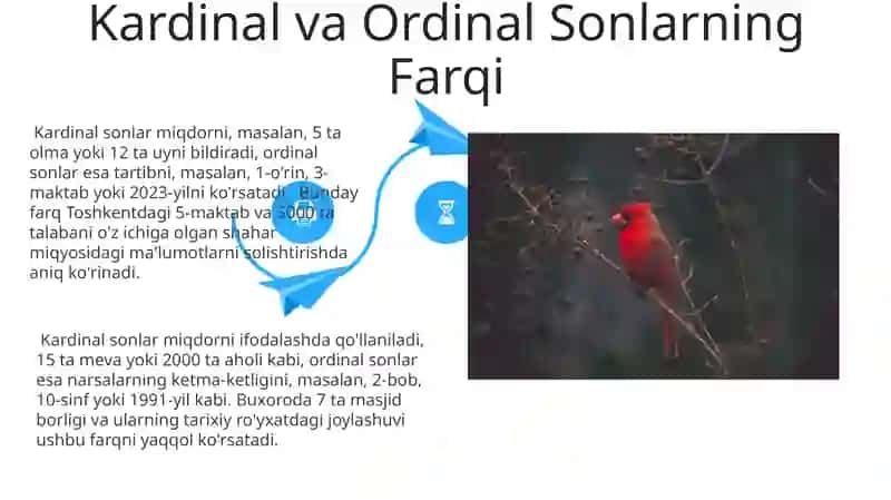 Kardinal Sonlar Misollari 4