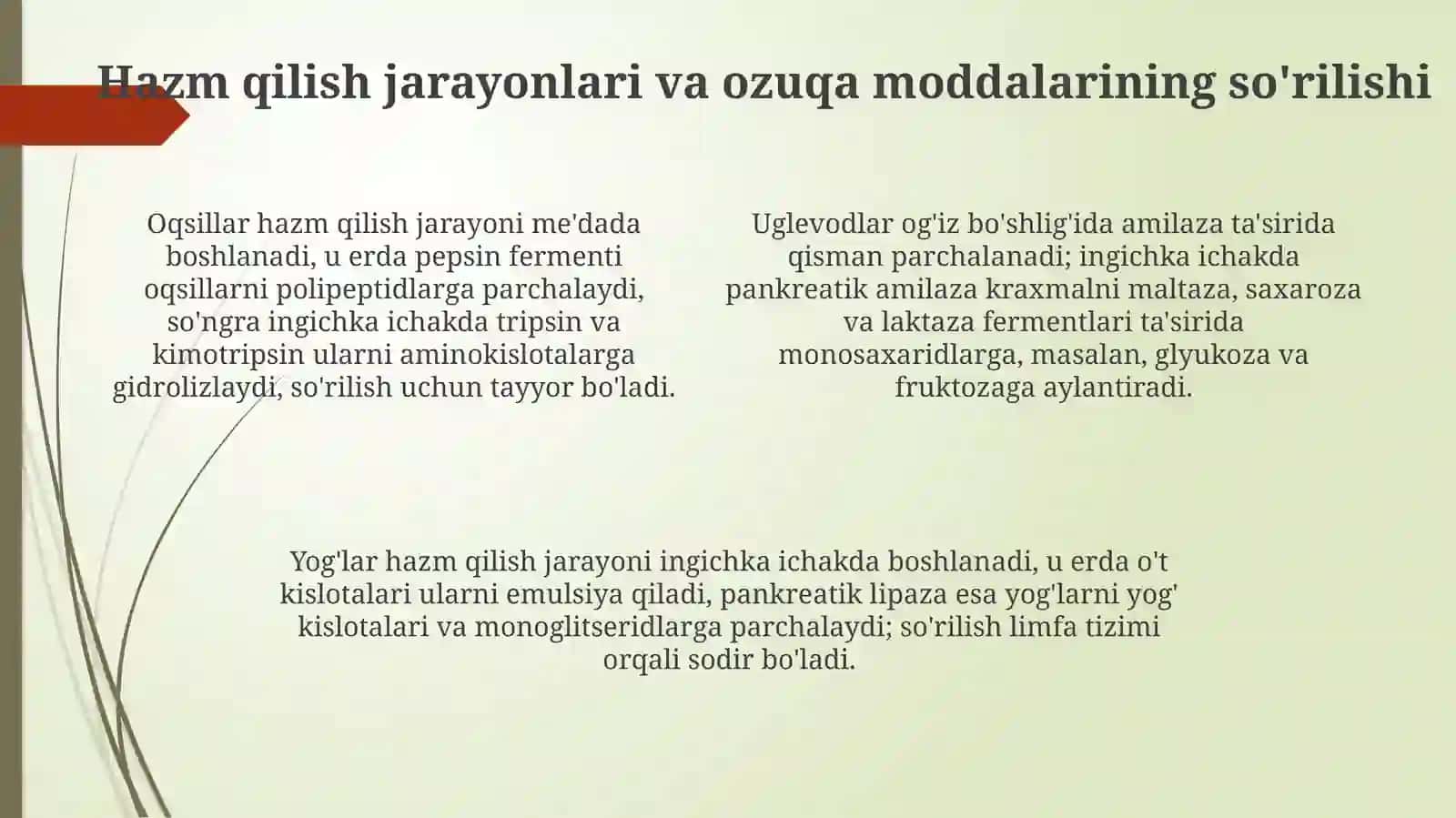 Ovqat hazm qilish tizimida ovqat ratsionini tuzish va tahlil qilish 4