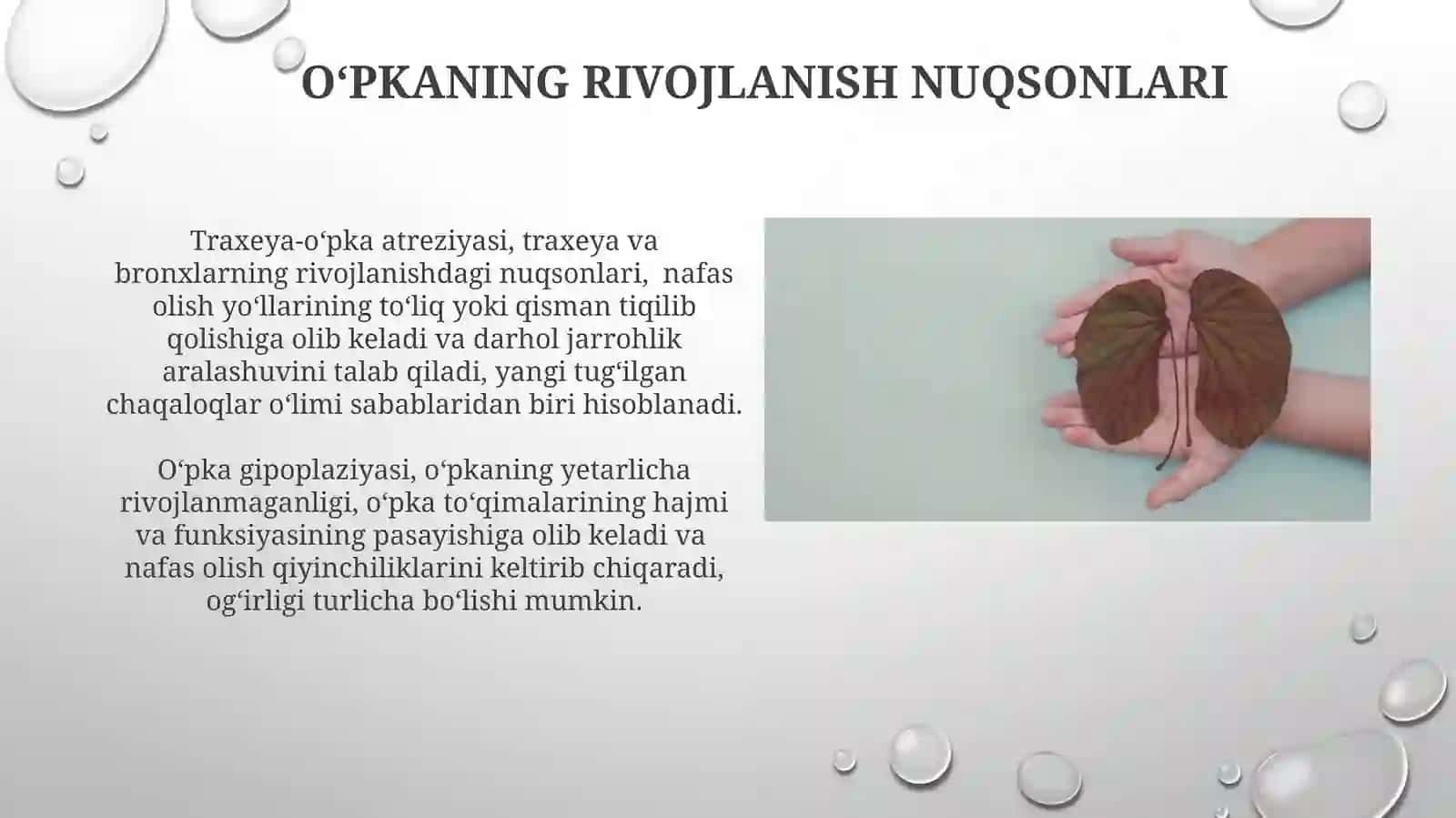 Nafasolish jarayoni. Nafas a'zolarining rivojlanish nuqsonlari 4