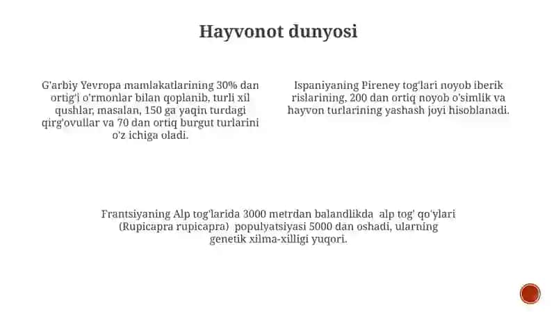 G’arbiy Yevropa davlatlari geografiyasi 4