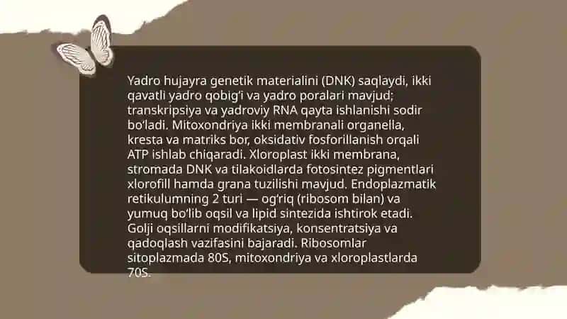Hujayra nazariyasi va biotexnologiyasi 4