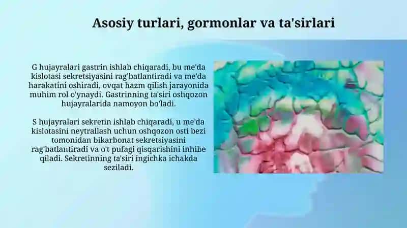 Meʼda ichak nayining endokrin hujayralari 4