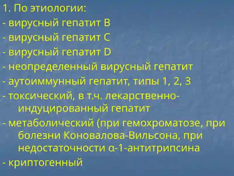 Хронические гепатиты 4