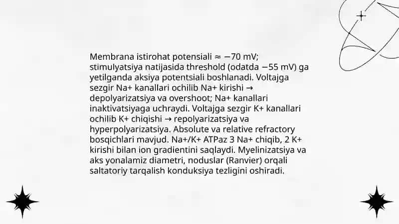 Neyronlarning tuzilishi va elektrofiziologik xossalari 4