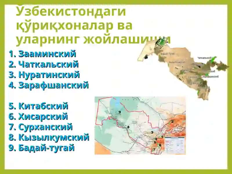 Ўзбекистон қўриқхоналари экотизимлари 4