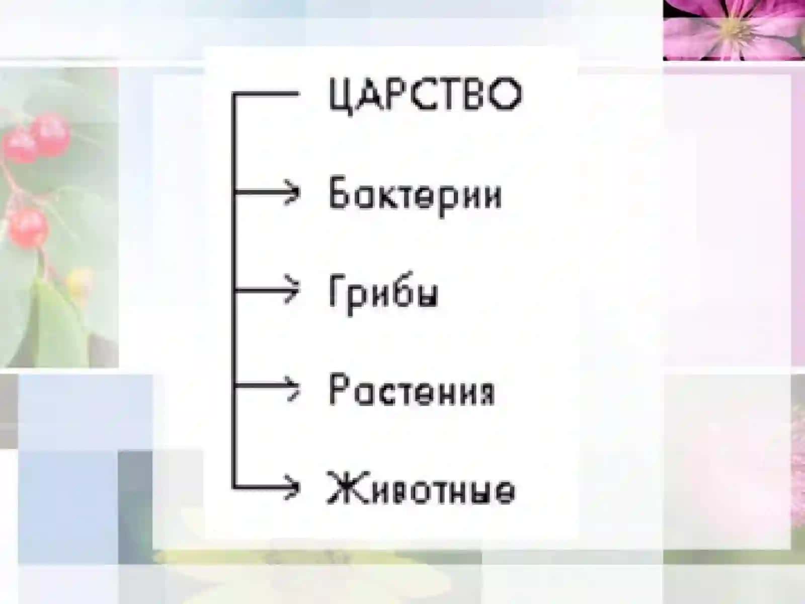 6-sinf Botanika dars ishlanma. Ботаника - наука о растениях 4