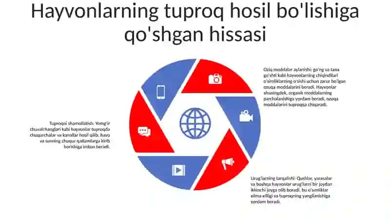 Organizmlar Va Tuproq Hosil Bo'Lishi Hamda Geografiyasi 4