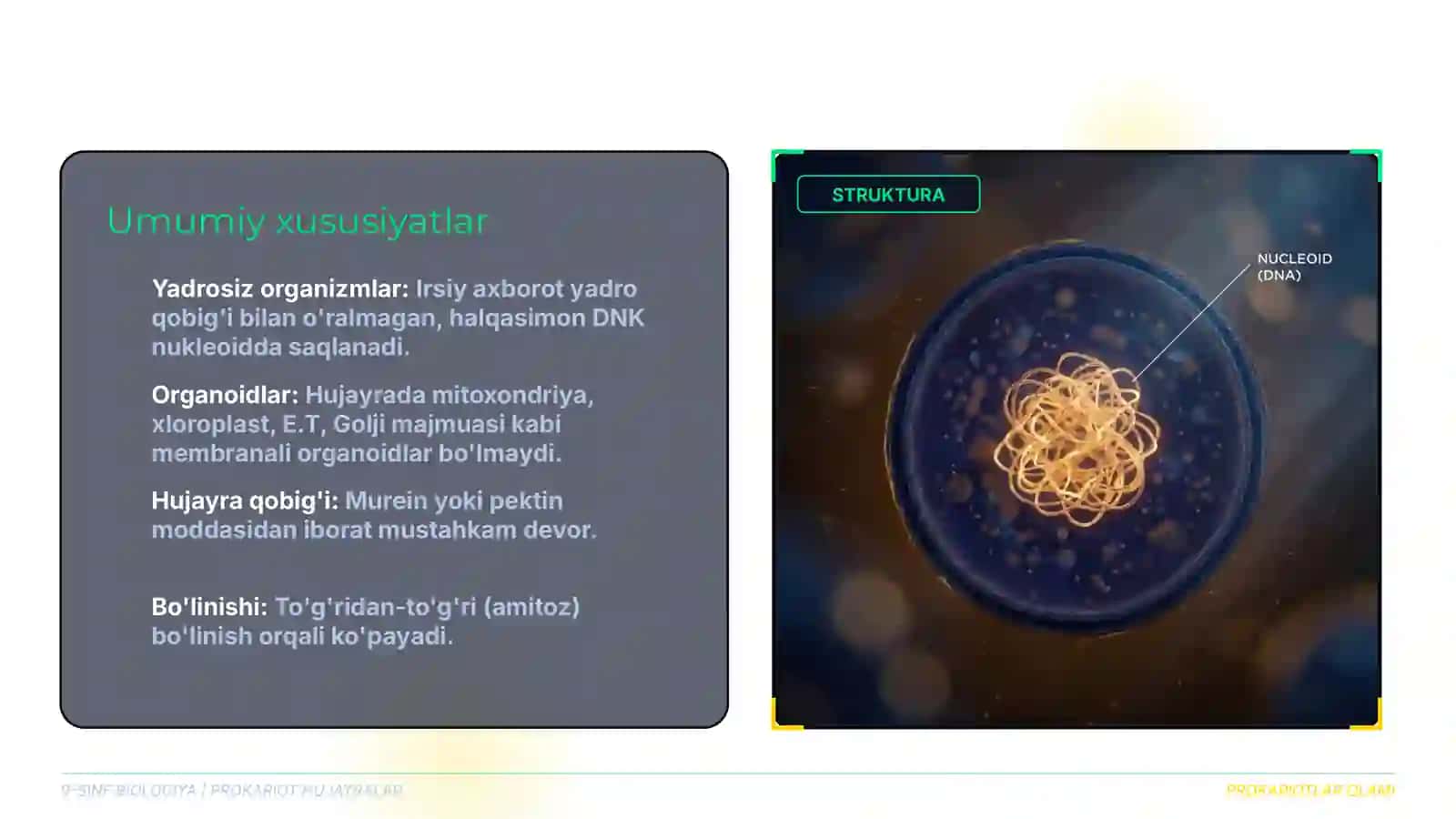 BIOLOGIYA ILMIY TAQDIMOTI | O'QUV KURSI 4