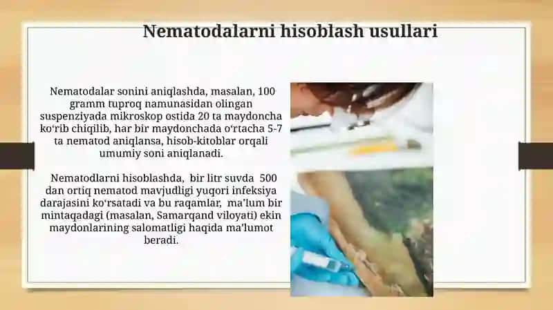 Preparatlar tayyorlash usuli.Ne'matodalarni aniqlash va oʻlchash metodlari 4