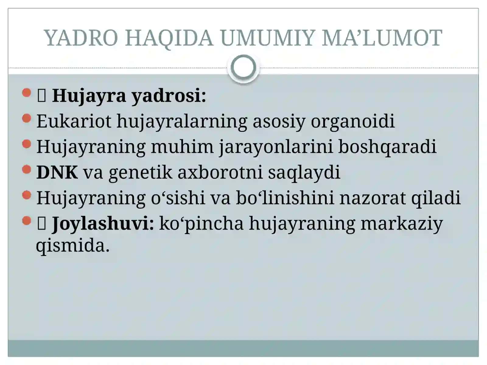 Hujayrasikli,mitoz 4