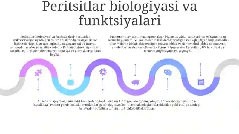 Pigmentatsitlar Lipatsitlar Peritsitlar Va Adventitsial Hujayralar 4