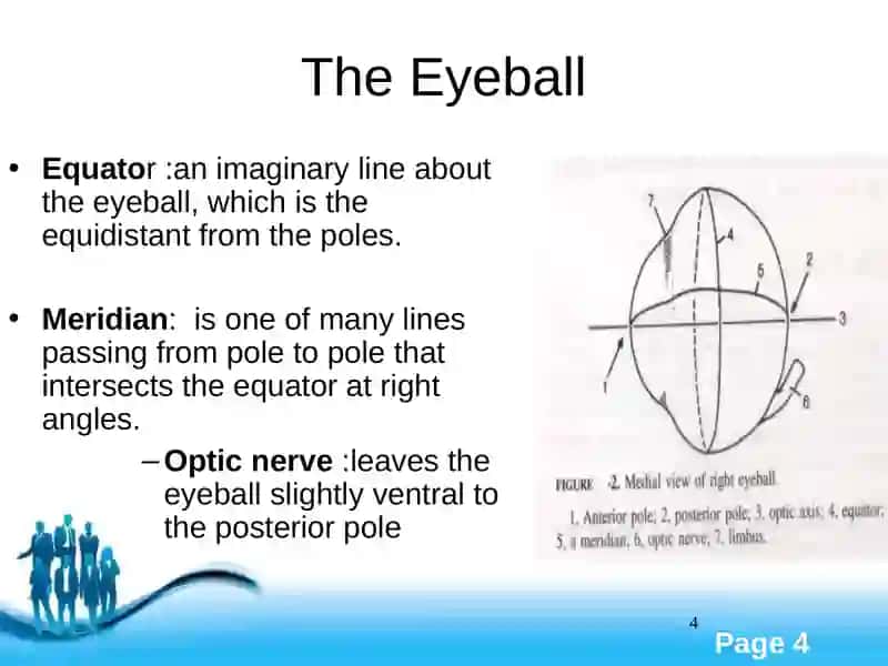 The Eye 4