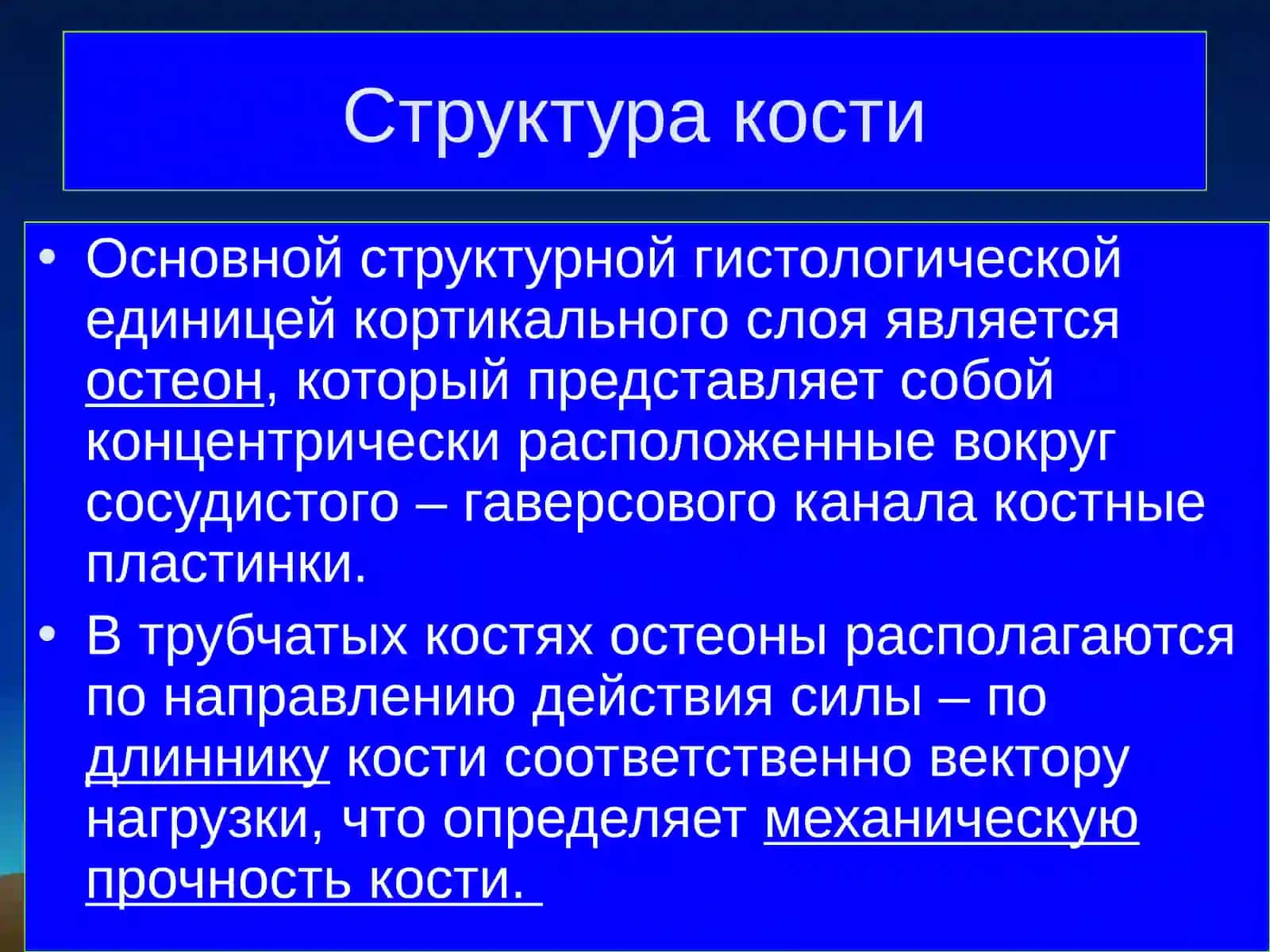 Остеопороз 4