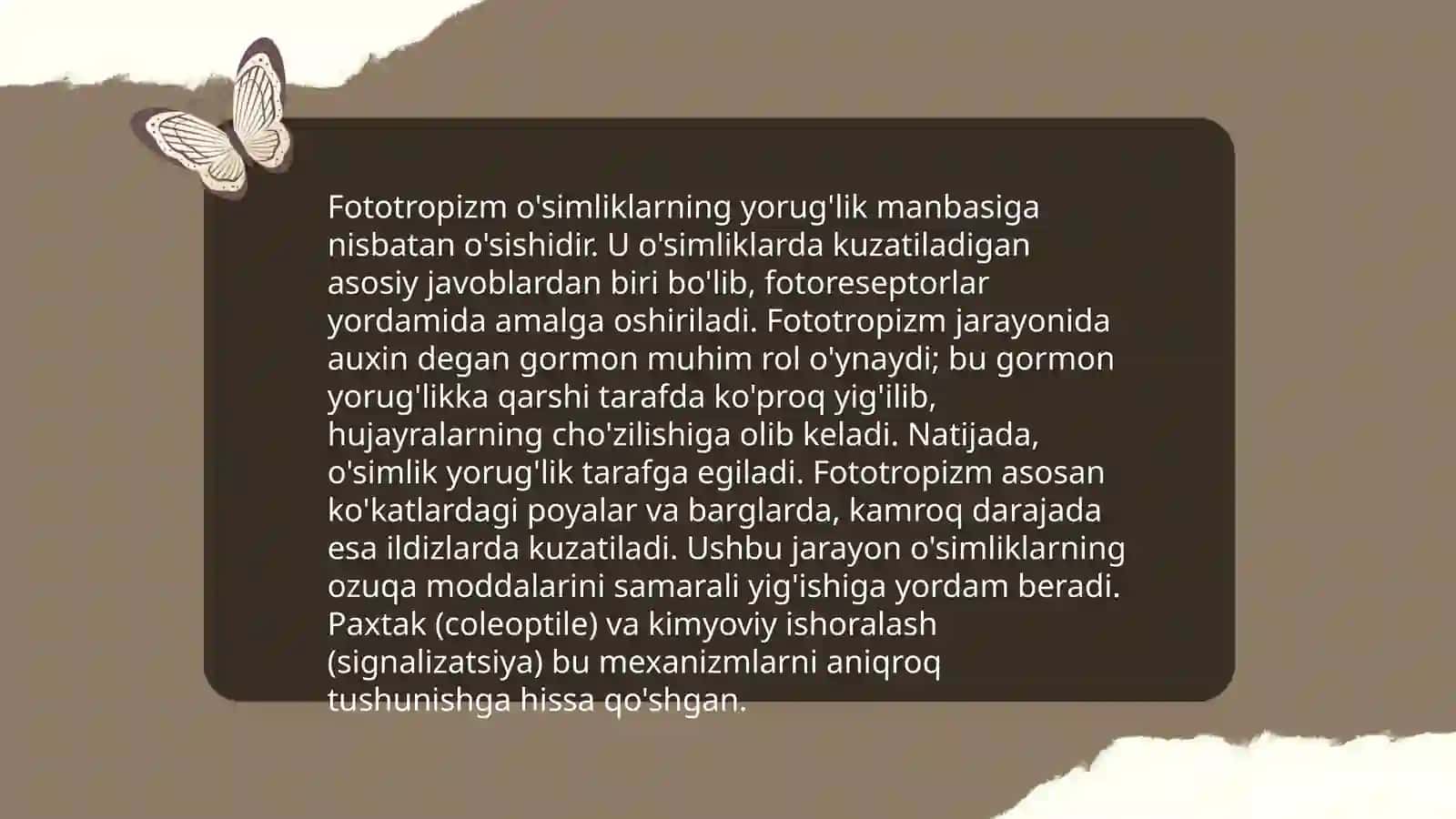Fototropizm va Geotropizm 4