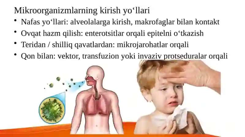 Umumiy infeksion jarayon haqida tushuncha 4
