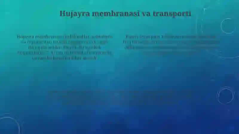 Hujayra 4