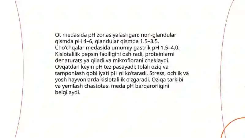 Ot va choʻchqalar medasida ozuqa xazmining xususiyatlari 4