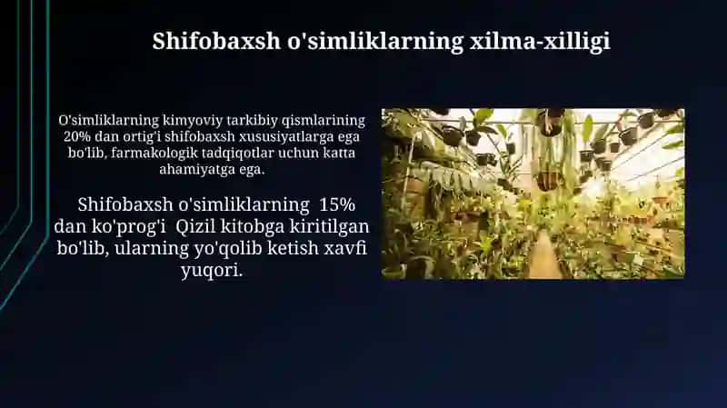 Dorivor ósimliklar va ularning muhofazasi 4