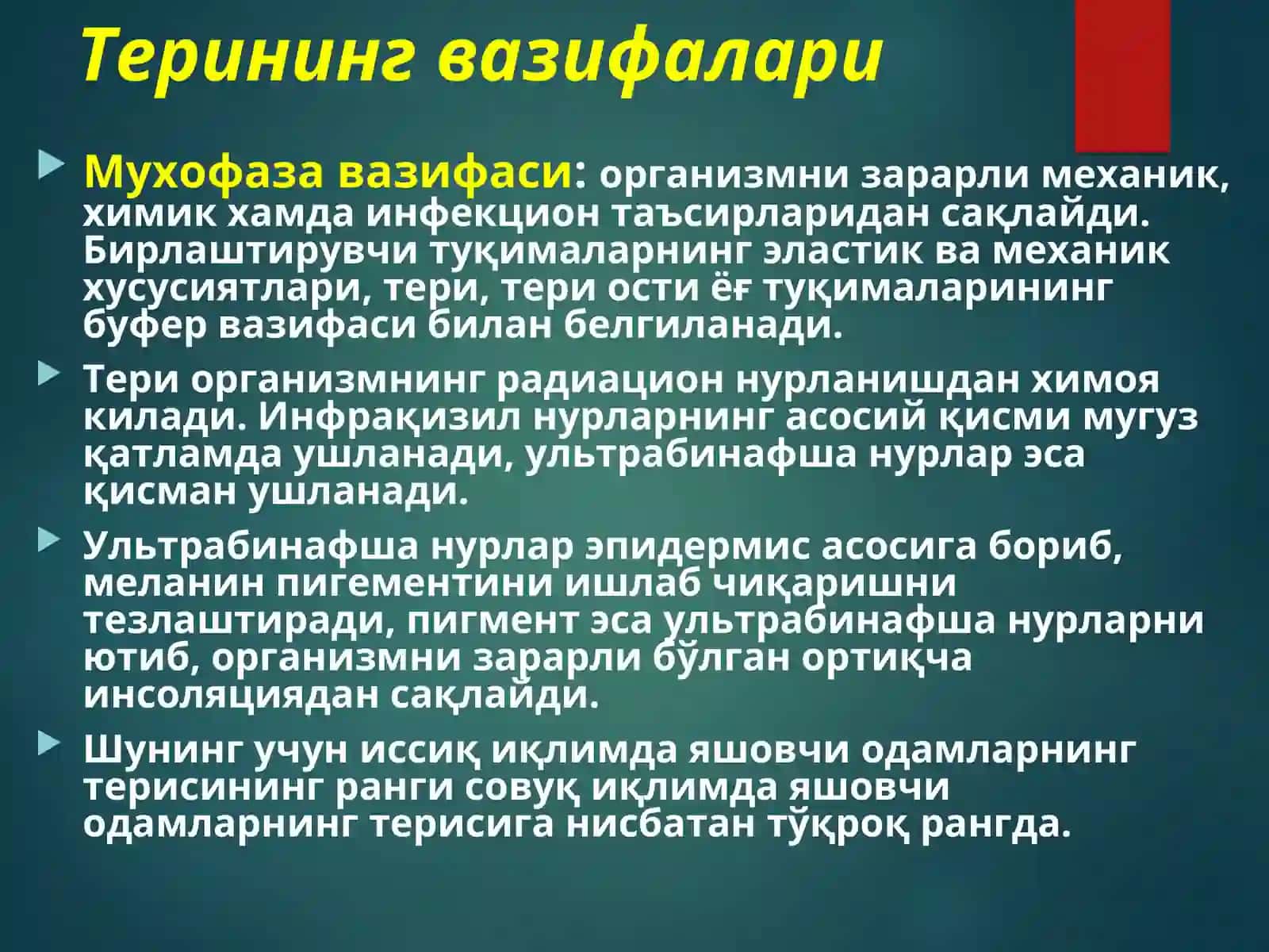 Тери, тери ости ёғқаватининг болалардаги анатомо-физиологик хусусиятларива асосий касалланиш семиотикаси 4