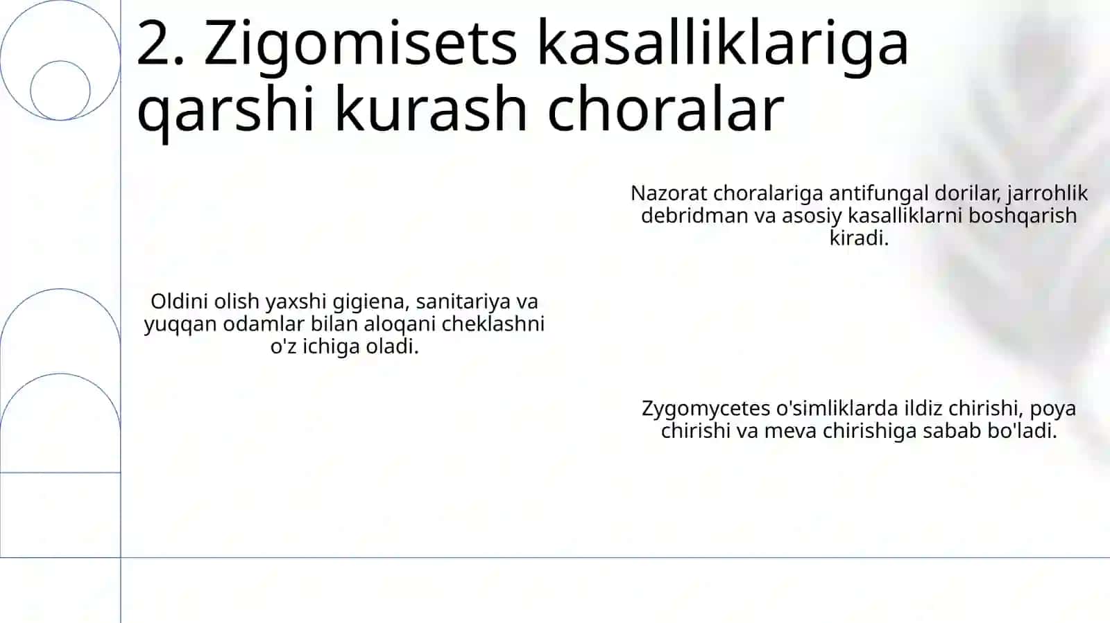 Zigomitsetlar sinfi vakillarining o'simliklarda qo'zg'atadigan kasalliklari 4