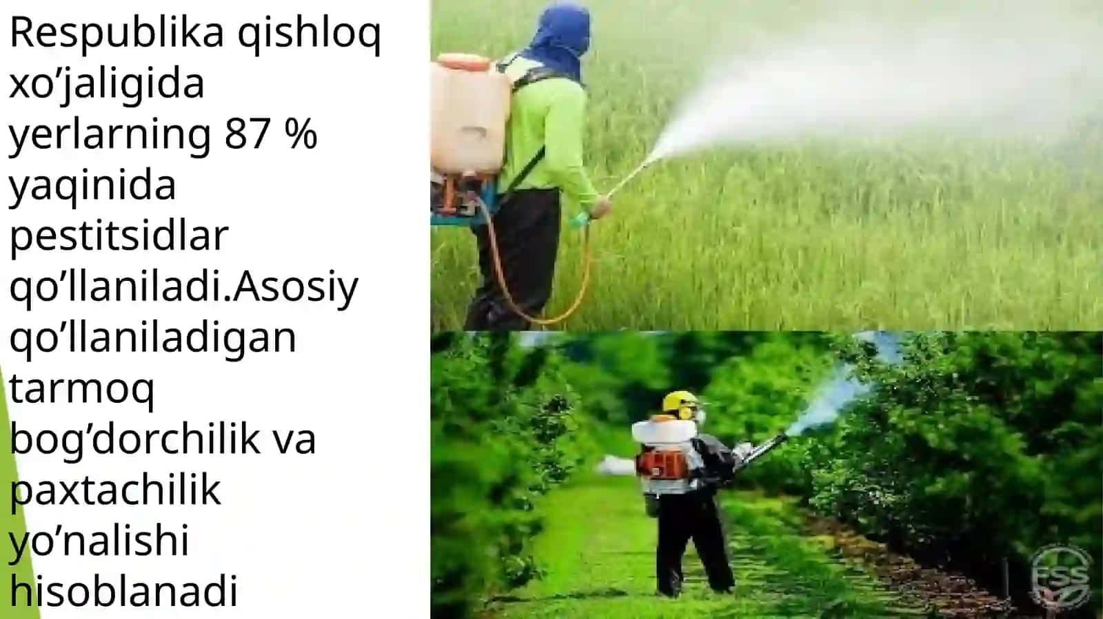 Pestitsidlar va ularning salbiy ta’sir etishdagi sharoitlarining muhim roli 4