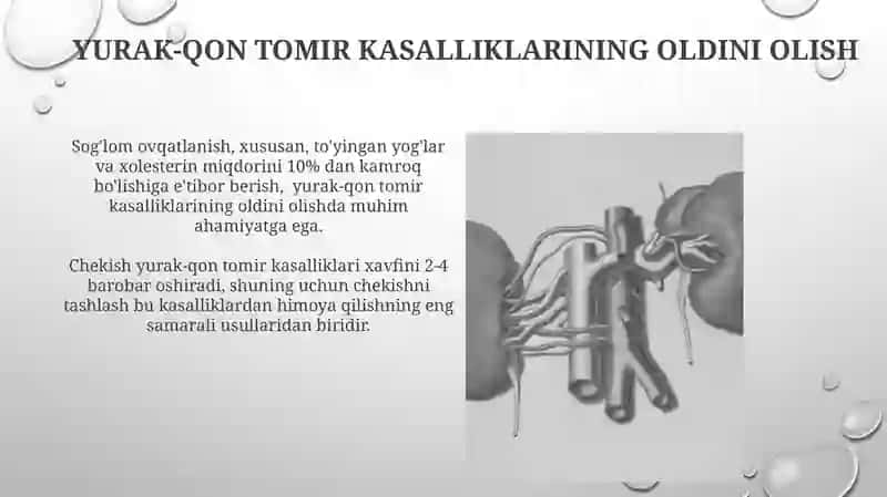 Yurak qon tomir tizimi kompensator va regenerator 4