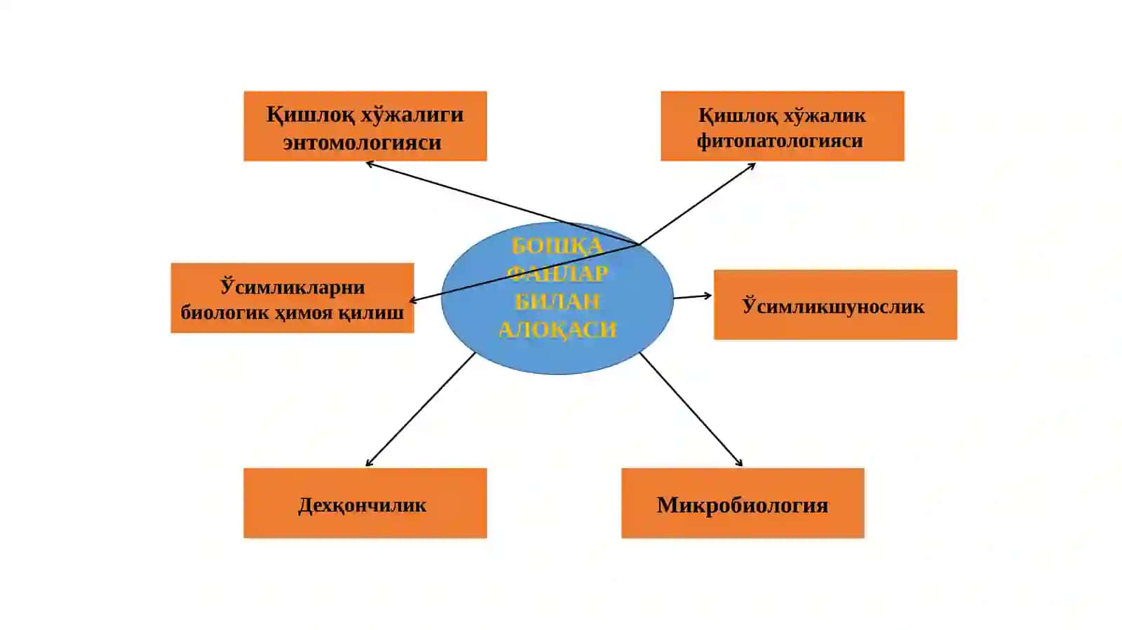 Ўсимликларни кимёвий химоя қилиш 4