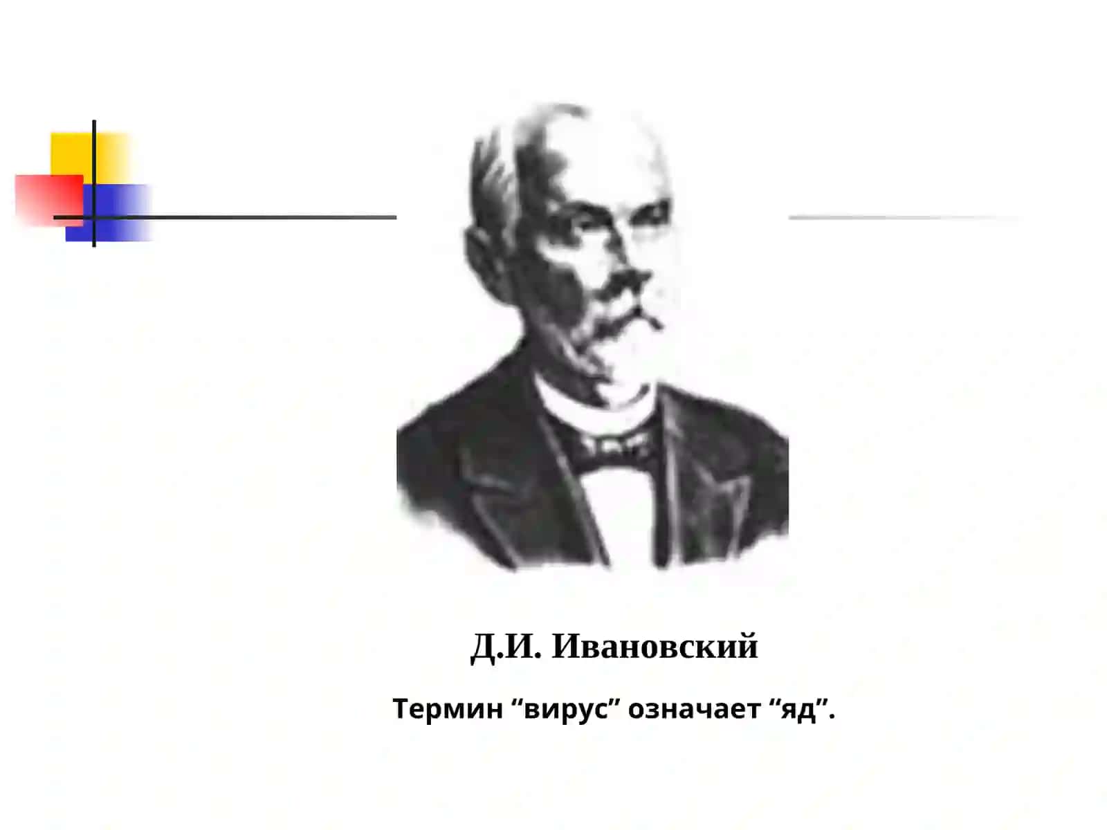 МОРФОЛОГИЯ И ФИЗИОЛОГИЯ ВИРУСОВ 4