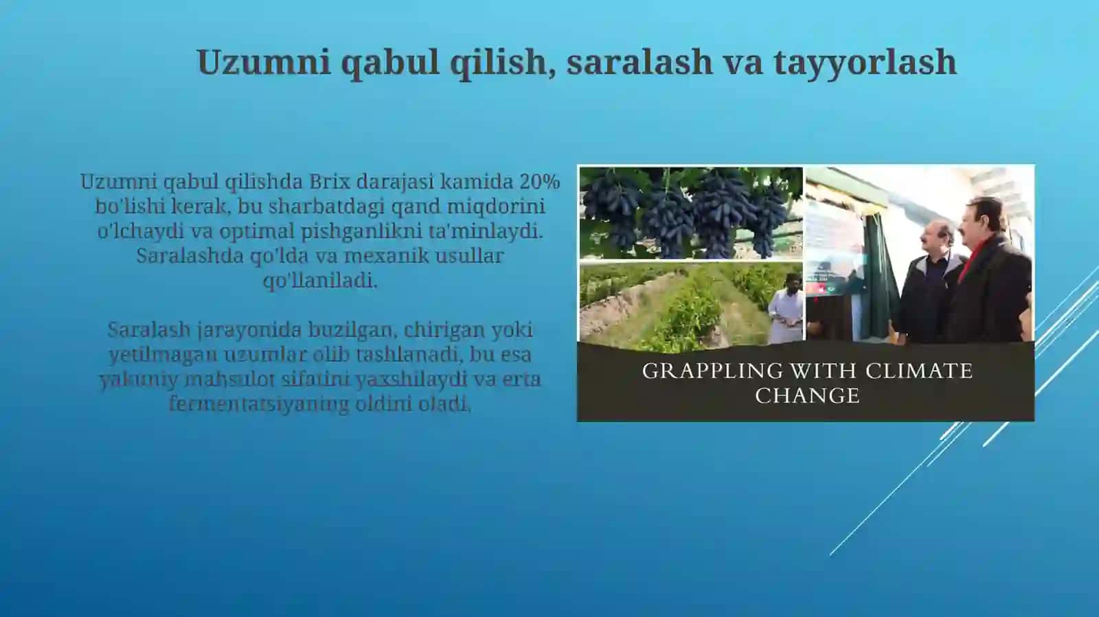 Uzumni qayta ishlash korxonalari va usullari 4