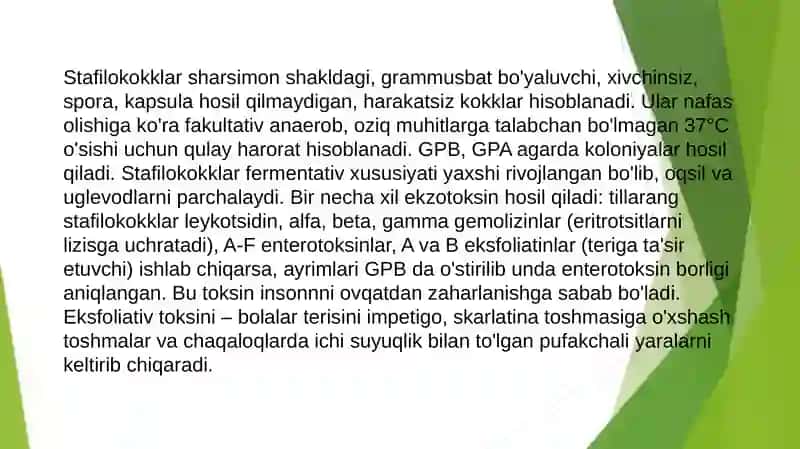 Shartlipatogen anaerob kokklar (peptokklar, peptostreptokokklar, veylonellalar) 4
