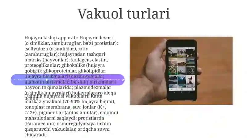 Vakuola tuzilishi va vazifasi 4