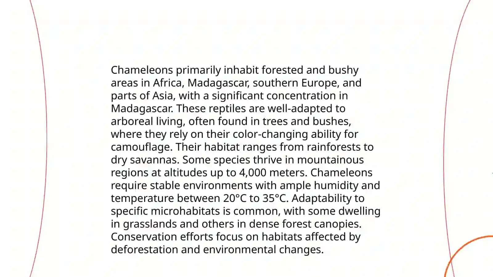 Chameleon 4