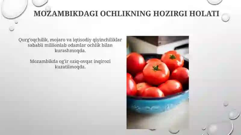 Mozambik davlati oziq-ovqat muammosi 4