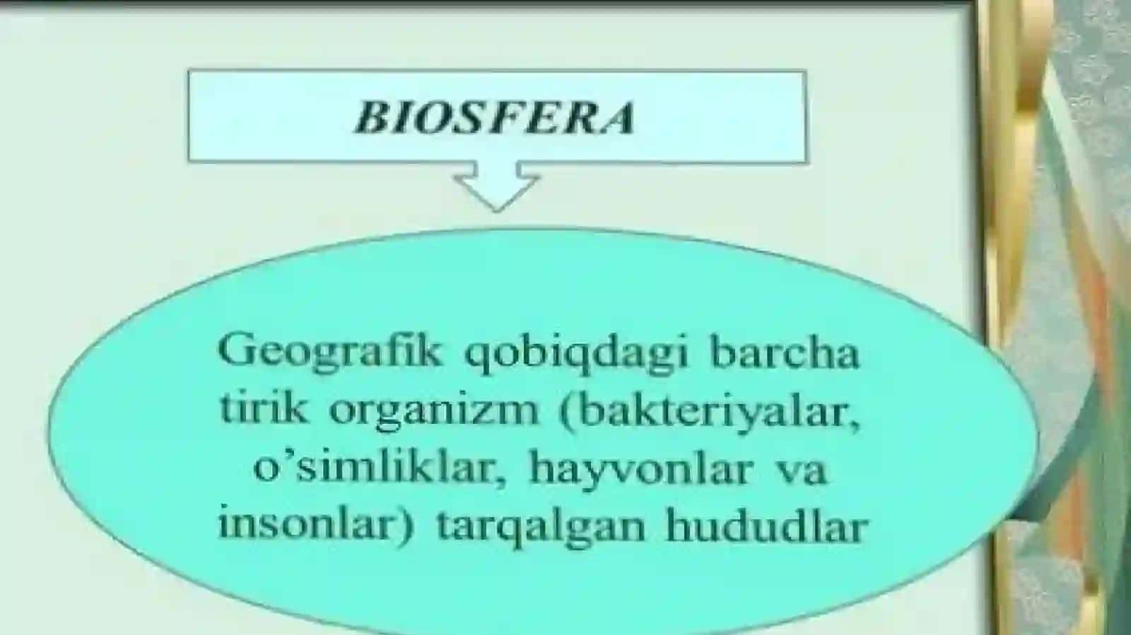 Biosfera darajasining xususiyatlari 4