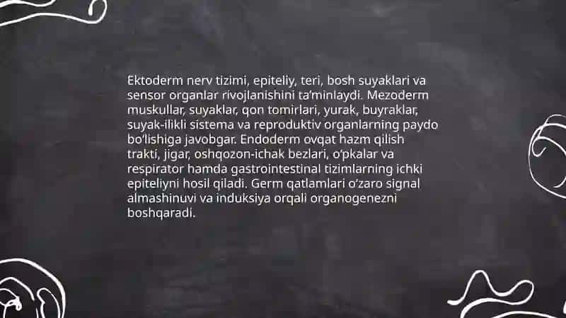 Umurtqali hayvonlarda organogenez 4