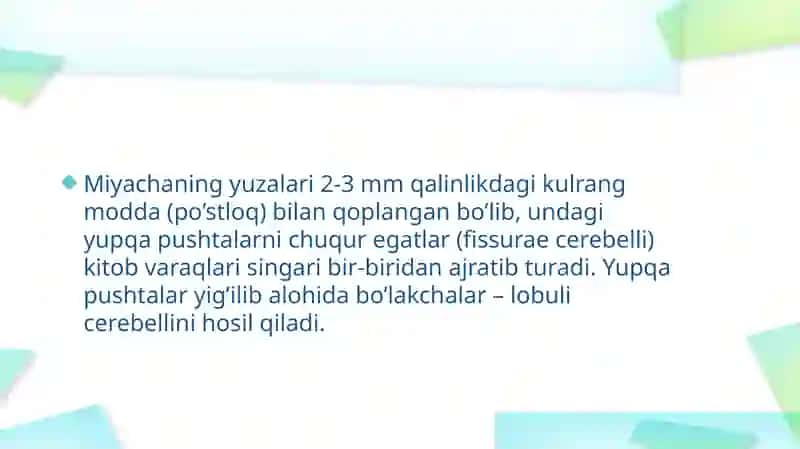 Miyacha (cerebellum) 4