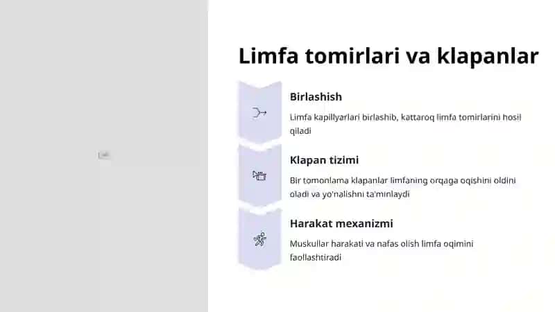 Limfa oqimi yo'llari: Tana immunitetining yashirin yo'llari 4