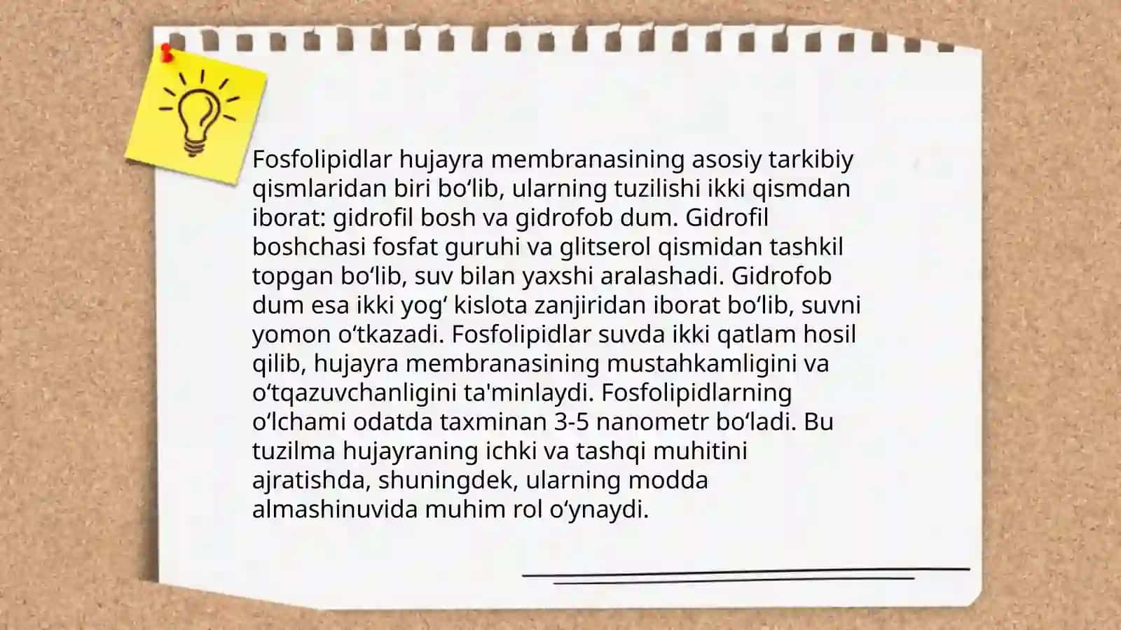 Murakkab lipidlar tuzilishi va xossalari 4