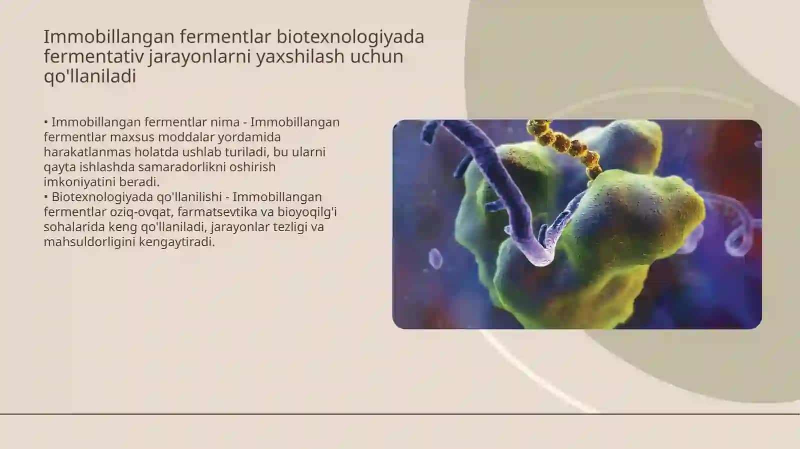 Ontogenezda ferment tarkibining o'zgarishi immobillangan fermentlar 4