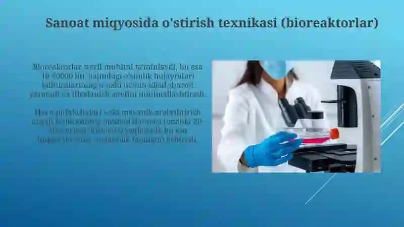 O'simlik hujayralari kulturalaridan sanoatda foydalanish 4