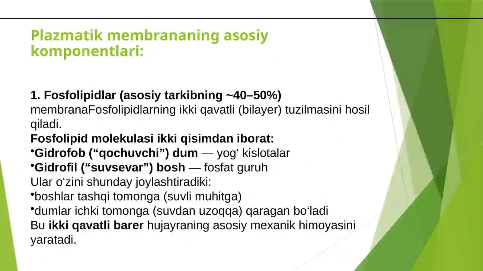 HUJAYRA MEMBRANASINING TUZILISHI VA UNING AHAMIYATI 4