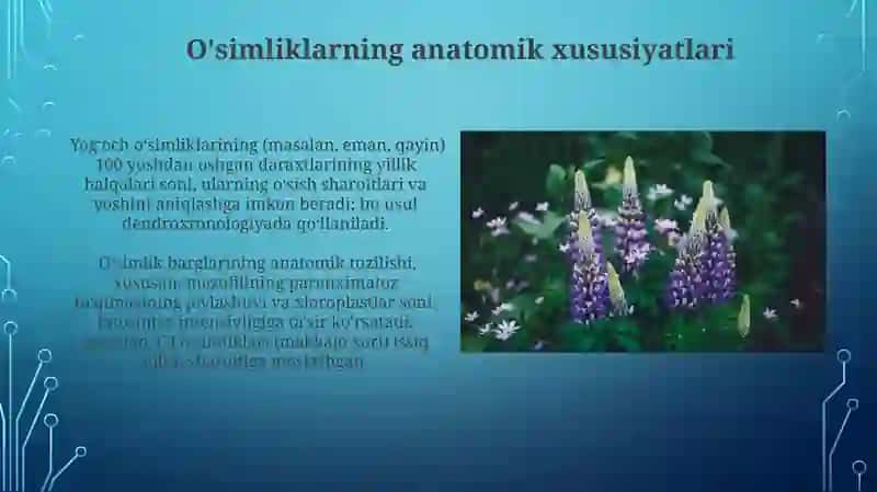 Yuksak o'simliklarning sistematikasi 4