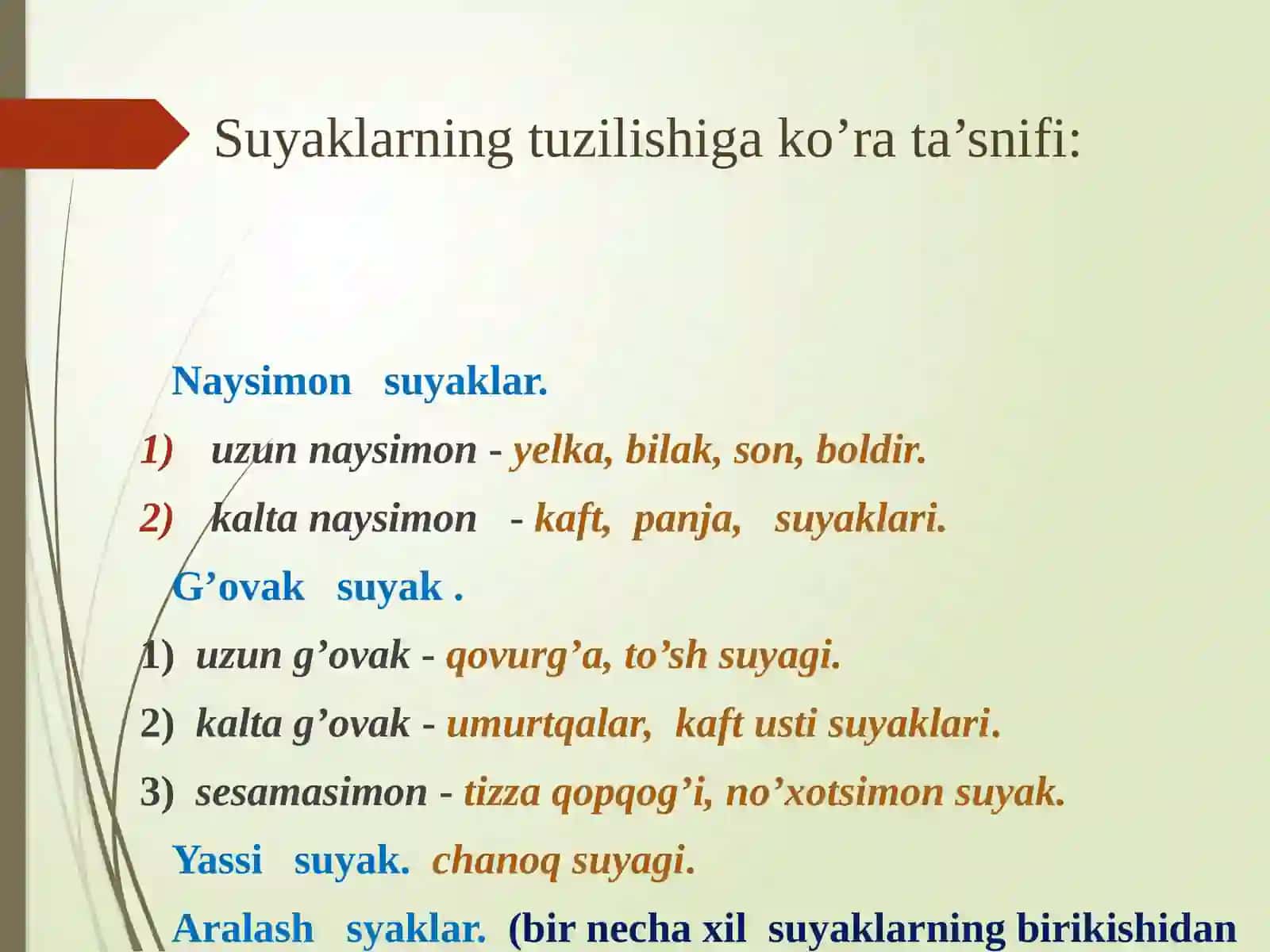 Tayanch-harakatlanishtizimi. Osteologiya.Suyaklar tuzilishi,tarkibi va vazifasi.Raxit kasalligi 4