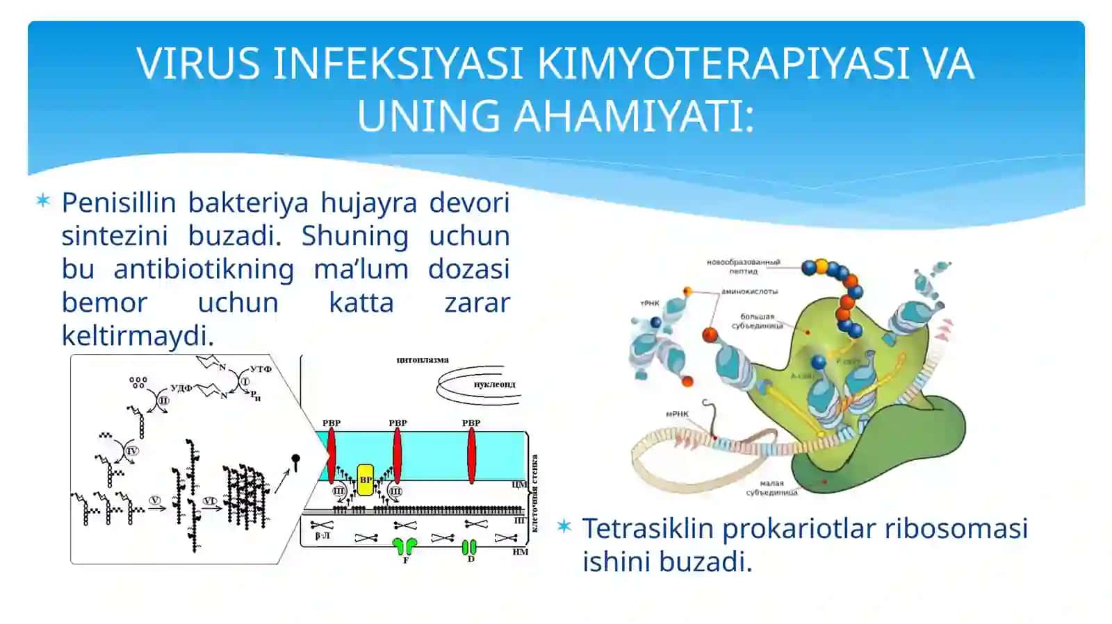 VIRUSLAR KIMYOTERAPIYASI VA IMMUNOPROFILAKTIKASI 4