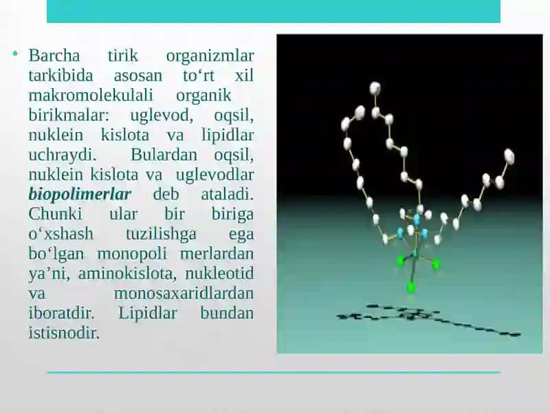 Biomolekulalar: oqsillar, uglivodlar, lipidlar 4