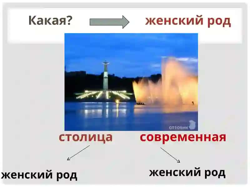 Имя прилагательное 4