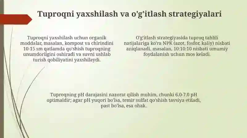 Qariganboglarni yoshartirishtexnologiyasi 4