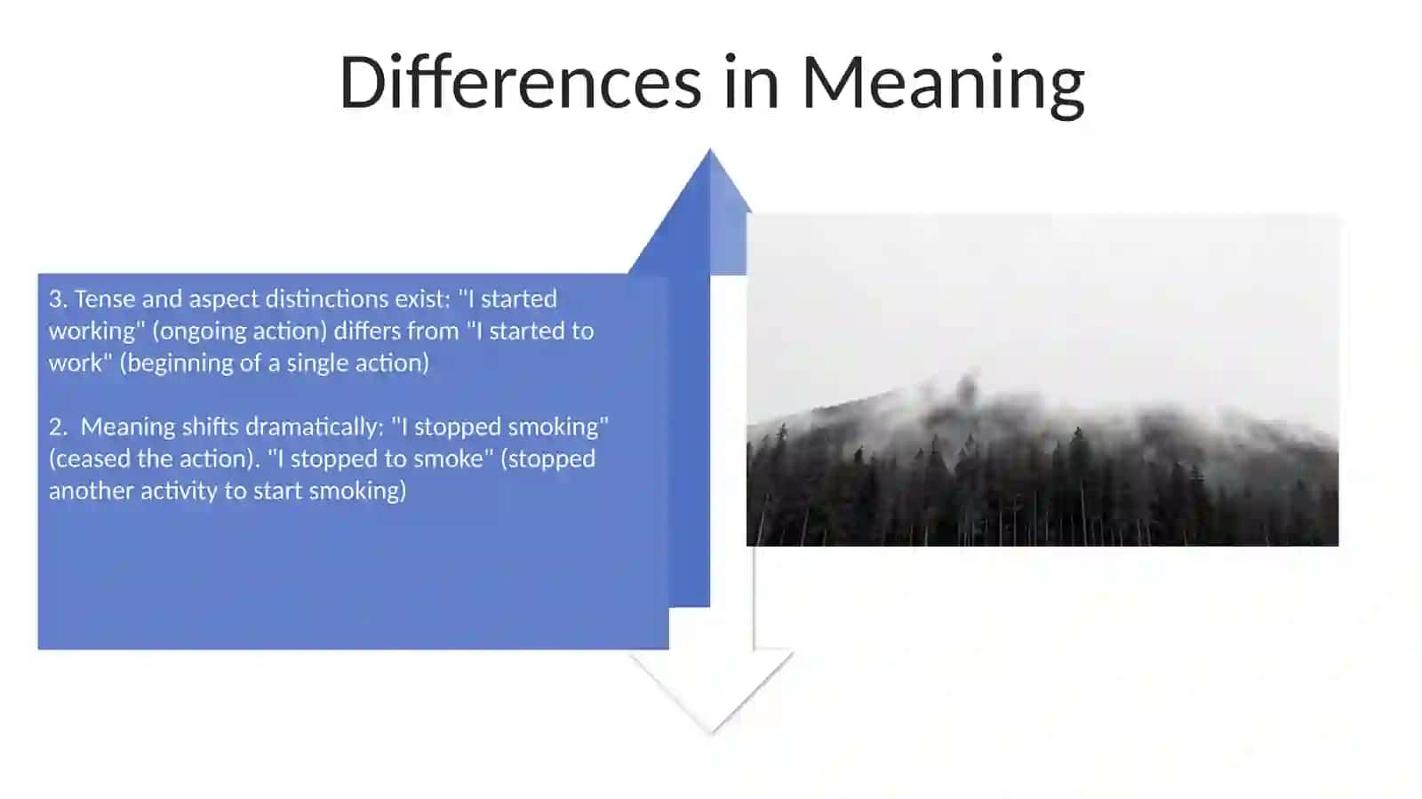 Verbs Followed by -ing and Infinitives 4