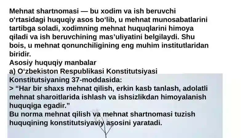 Mehnat shartnomasi 4