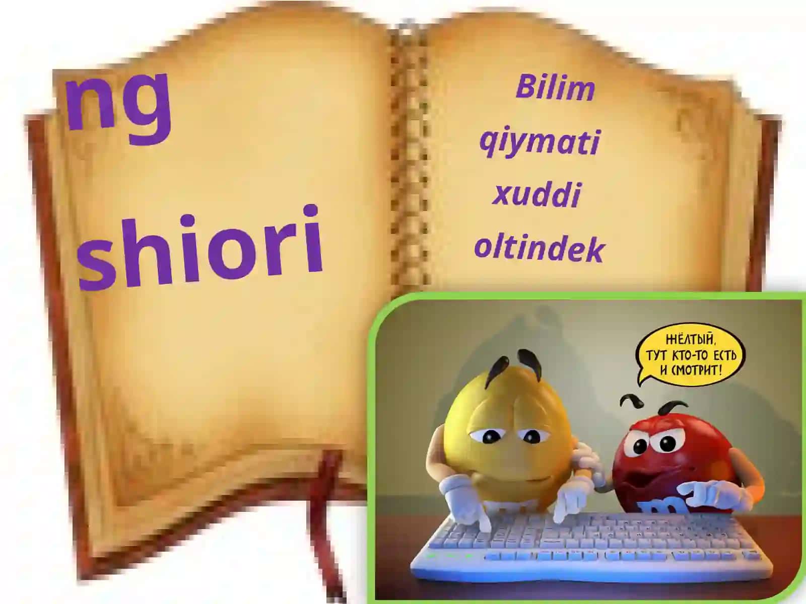 Boshmiya 4
